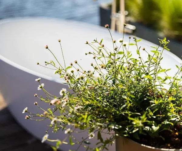 Hoteldebootel 's-hertogenbosch Met Prive Sauna Casa vacanze *