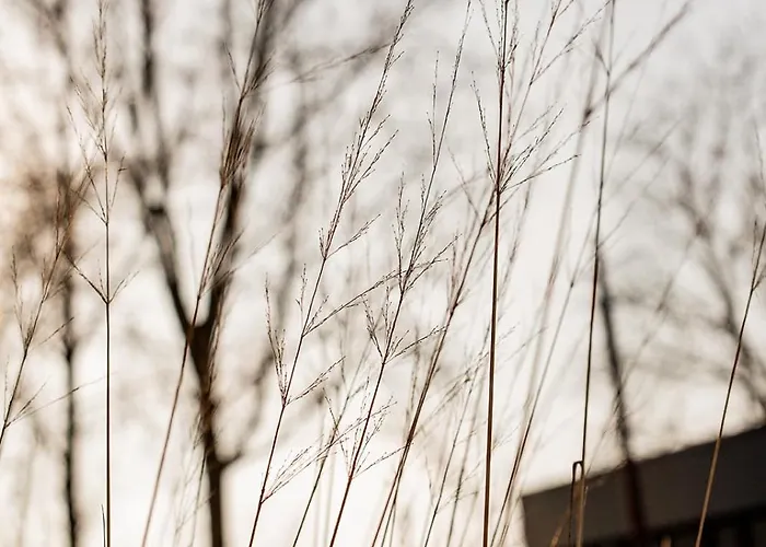 Hoteldebootel 's-hertogenbosch Met Prive Sauna 's-Hertogenbosch (Den Bosch)